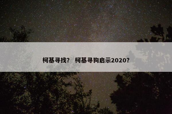 柯基寻找？ 柯基寻狗启示2020？