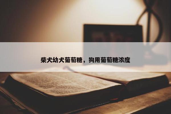 柴犬幼犬葡萄糖，狗用葡萄糖浓度