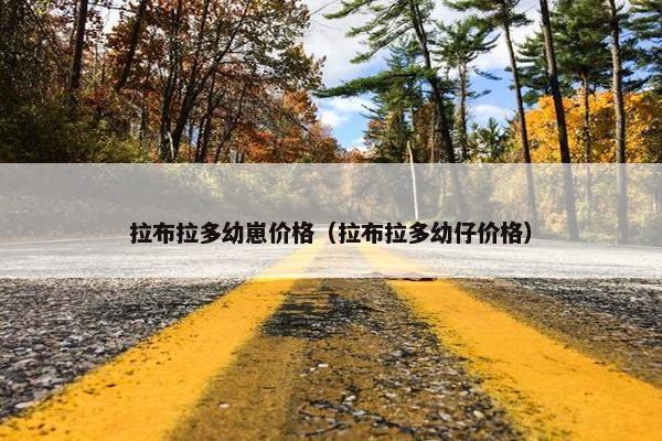 拉布拉多幼崽价格（拉布拉多幼仔价格）