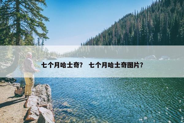七个月哈士奇？ 七个月哈士奇图片？