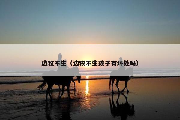 边牧不生（边牧不生孩子有坏处吗）