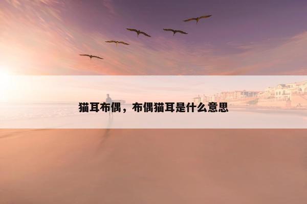 猫耳布偶，布偶猫耳是什么意思