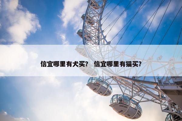 信宜哪里有犬买？ 信宜哪里有猫买？