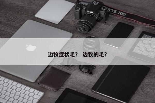 边牧症状毛？ 边牧的毛？