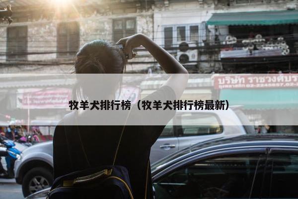 牧羊犬排行榜（牧羊犬排行榜最新）