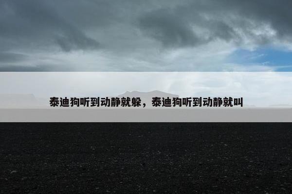 泰迪狗听到动静就躲，泰迪狗听到动静就叫