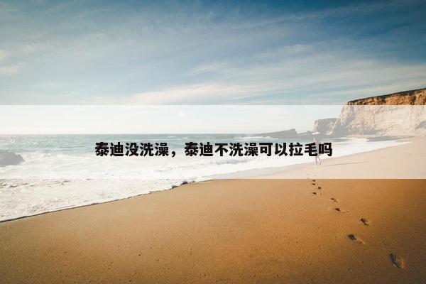 泰迪没洗澡，泰迪不洗澡可以拉毛吗