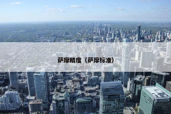 萨摩精度（萨摩标准）
