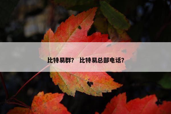 比特易群？ 比特易总部电话？