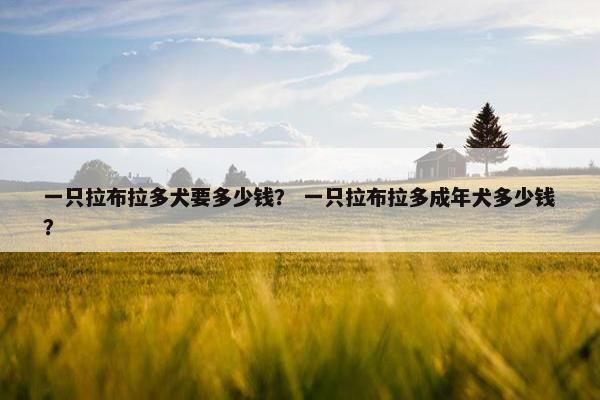 一只拉布拉多犬要多少钱？ 一只拉布拉多成年犬多少钱？