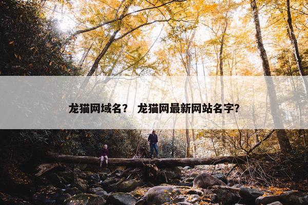 龙猫网域名？ 龙猫网最新网站名字？
