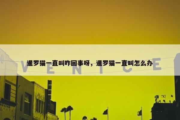 暹罗猫一直叫咋回事呀，暹罗猫一直叫怎么办