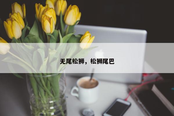 无尾松狮，松狮尾巴