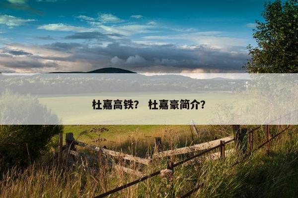 杜嘉高铁？ 杜嘉豪简介？