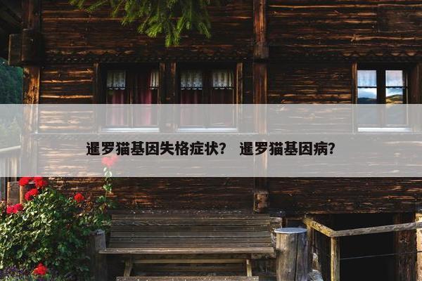 暹罗猫基因失格症状？ 暹罗猫基因病？