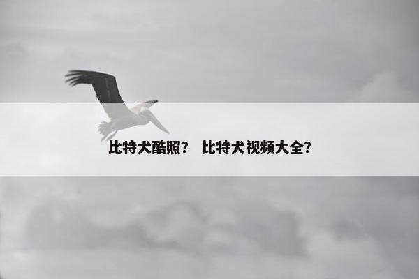比特犬酷照？ 比特犬视频大全？