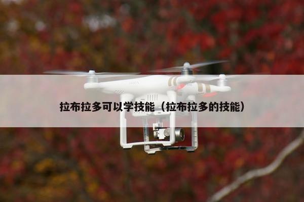 拉布拉多可以学技能（拉布拉多的技能）