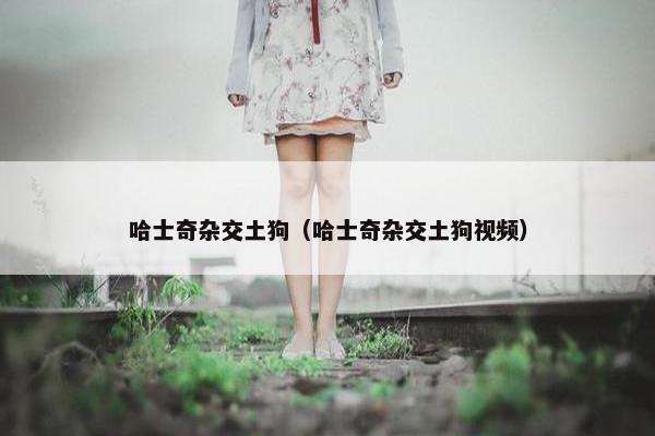 哈士奇杂交土狗（哈士奇杂交土狗视频）