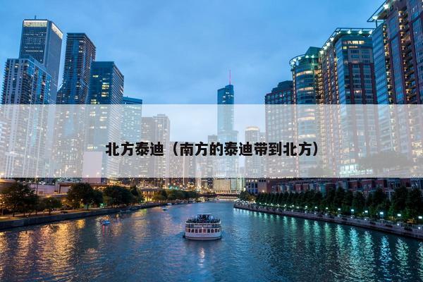 北方泰迪（南方的泰迪带到北方）