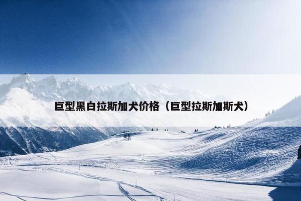 巨型黑白拉斯加犬价格（巨型拉斯加斯犬）