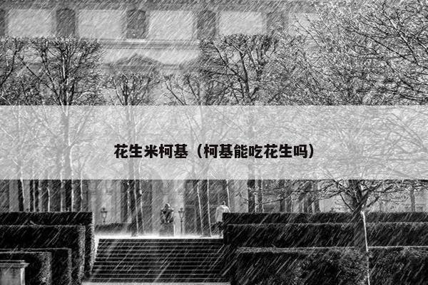 花生米柯基（柯基能吃花生吗）