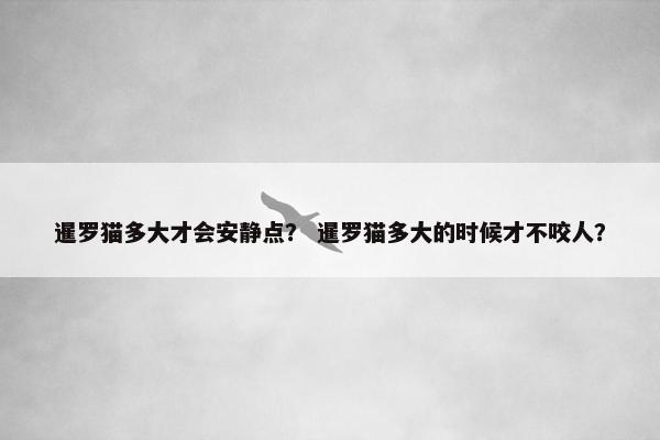 暹罗猫多大才会安静点？ 暹罗猫多大的时候才不咬人？