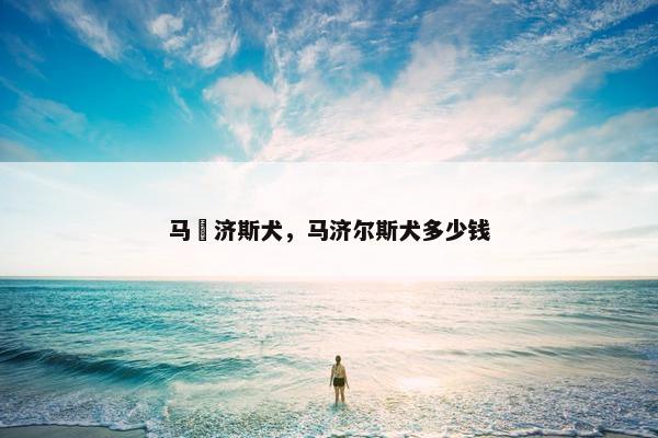 马亇济斯犬，马济尔斯犬多少钱