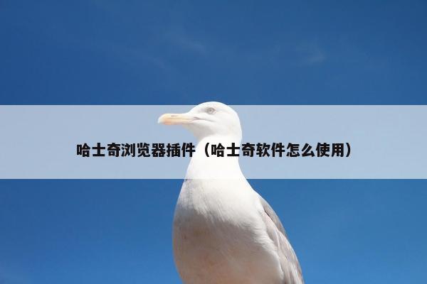 哈士奇浏览器插件(哈士奇软件怎么使用)