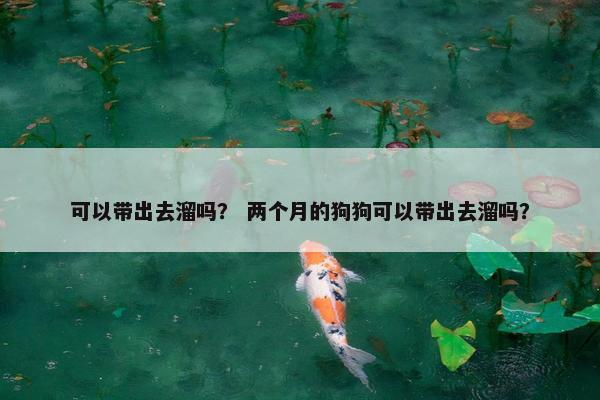 可以带出去溜吗？ 两个月的狗狗可以带出去溜吗？