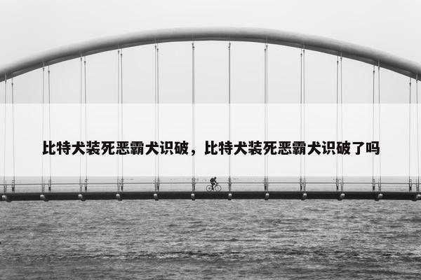 比特犬装死恶霸犬识破，比特犬装死恶霸犬识破了吗