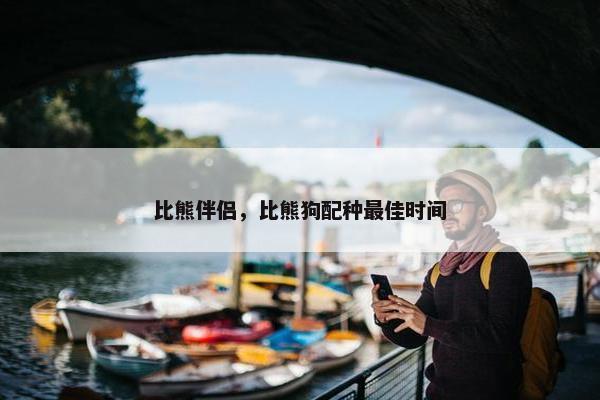 比熊伴侣，比熊狗配种最佳时间