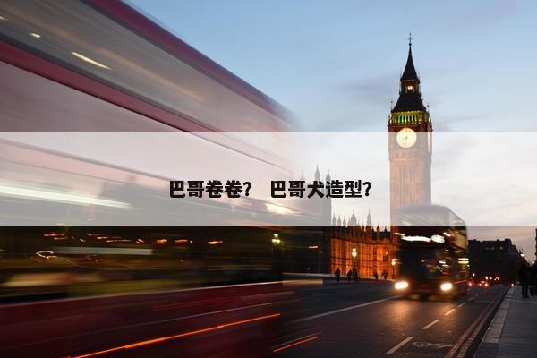 巴哥卷卷？ 巴哥犬造型？