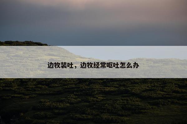 边牧装吐，边牧经常呕吐怎么办