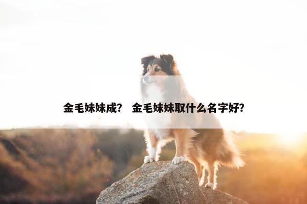 金毛妹妹成？ 金毛妹妹取什么名字好？