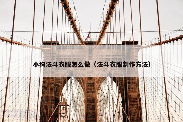小狗法斗衣服怎么做（法斗衣服制作方法）