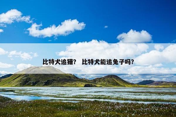 比特犬追猎？ 比特犬能追兔子吗？