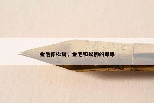 金毛像松狮，金毛和松狮的串串