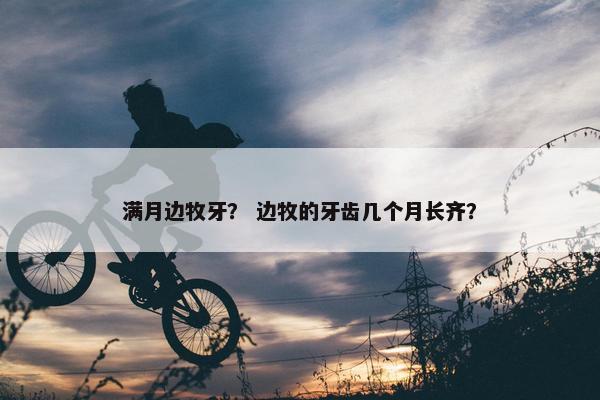 满月边牧牙? 边牧的牙齿几个月长齐? 满月边牧牙? 边牧的牙齿几个月长齐?