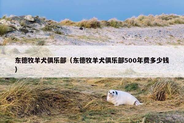 东德牧羊犬俱乐部（东德牧羊犬俱乐部500年费多少钱）