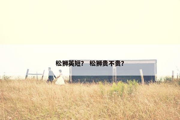 松狮英短？ 松狮贵不贵？