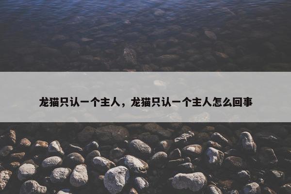 龙猫只认一个主人,龙猫只认一个主人怎么回事 龙猫只认一个主人,龙猫只认一个主人怎么回事