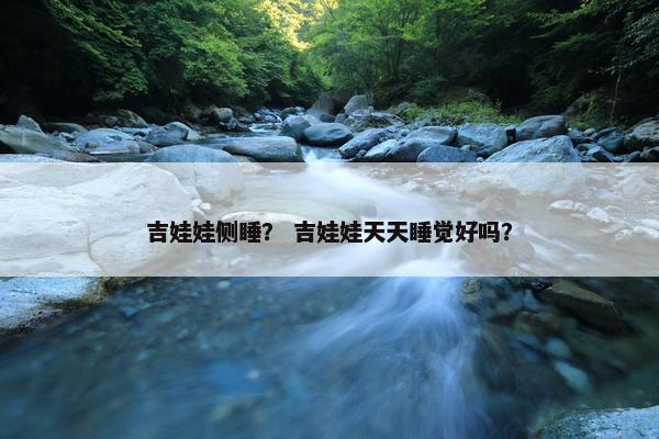 吉娃娃侧睡？ 吉娃娃天天睡觉好吗？