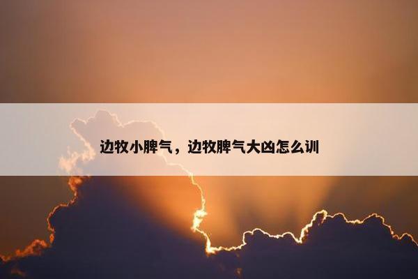 边牧小脾气，边牧脾气大凶怎么训