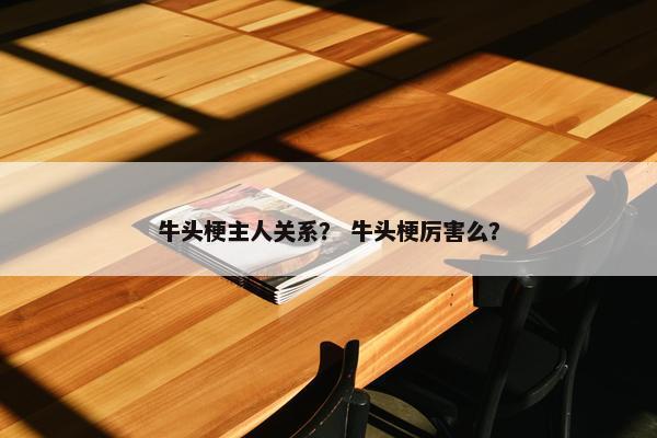 牛头梗主人关系？ 牛头梗厉害么？