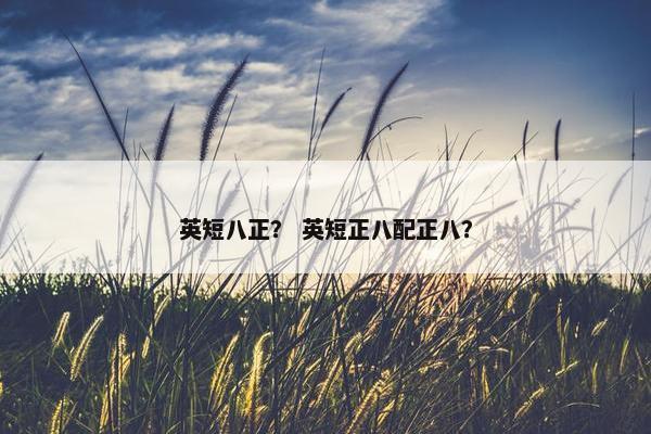 英短八正？ 英短正八配正八？