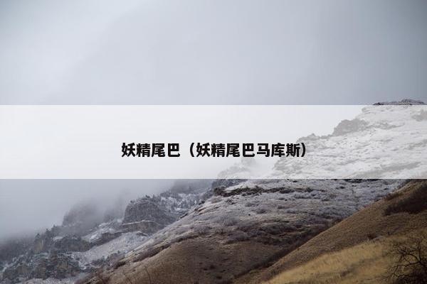 妖精尾巴（妖精尾巴马库斯）