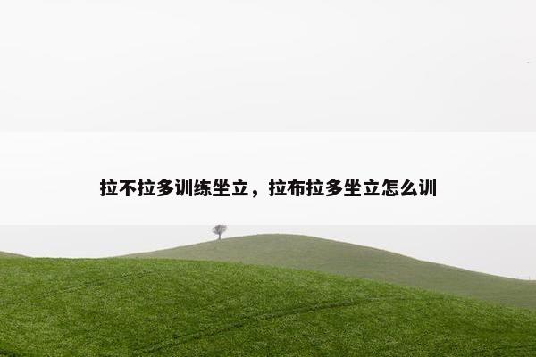 拉不拉多训练坐立,拉布拉多坐立怎么训 拉不拉多训练坐立,拉布拉多坐立怎么训