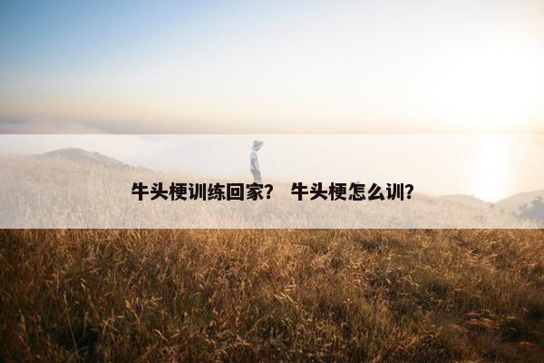 牛头梗训练回家？ 牛头梗怎么训？