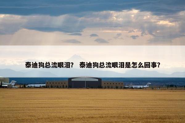 泰迪狗总流眼泪？ 泰迪狗总流眼泪是怎么回事？