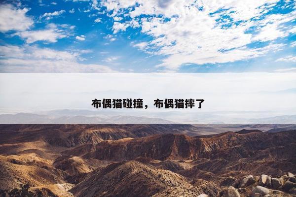 布偶猫碰撞，布偶猫摔了